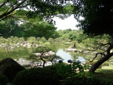 Fukuoka Japanese Garden