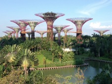 Singapore Gardens
