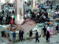 Kuwait Fish Market