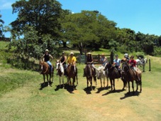 Sao Paulo Horse riding